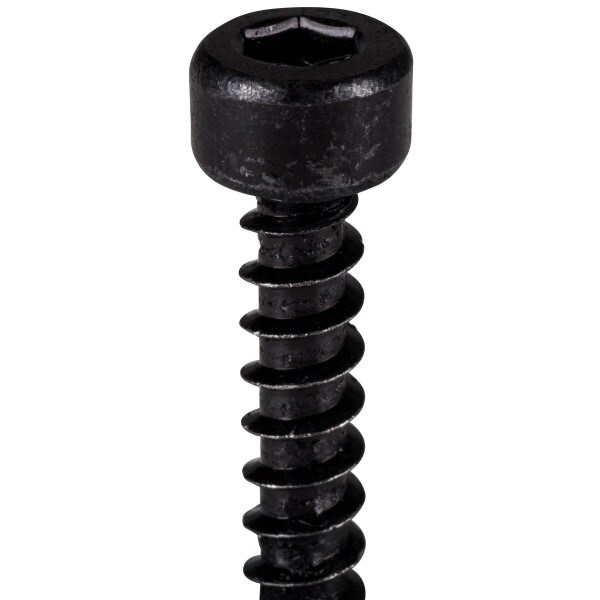 Main product image for M5 x 30mm Cap Head Wood Screws Black 100 Pcs. 081-312